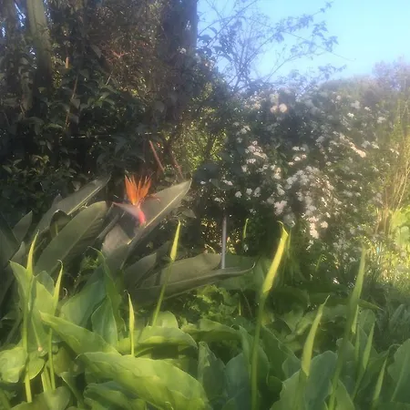 Bed & Breakfast Le Ginestre