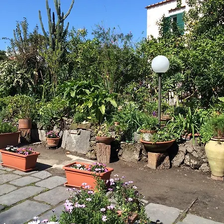 Le Ginestre Bed and Breakfast *